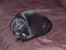 My soffa